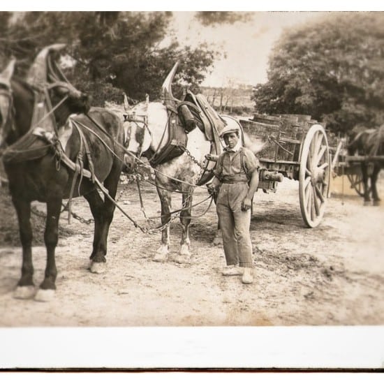 Années 40 au domaine. Gaston Espie, l'oncle de mon grand-père maternel.