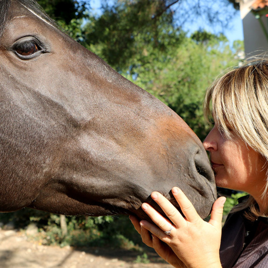 L'amour des chevaux, une passion de longue date.